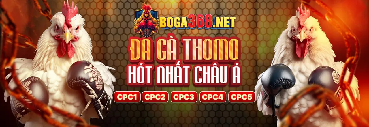 Chương Trình VIP Đẳng Cấp 98win link